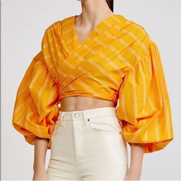 Acler The Wyatt Puff Balloon Sleeve Cropped Wrap Top Pumpkin Stripe Size 10 - Picture 5 of 16
